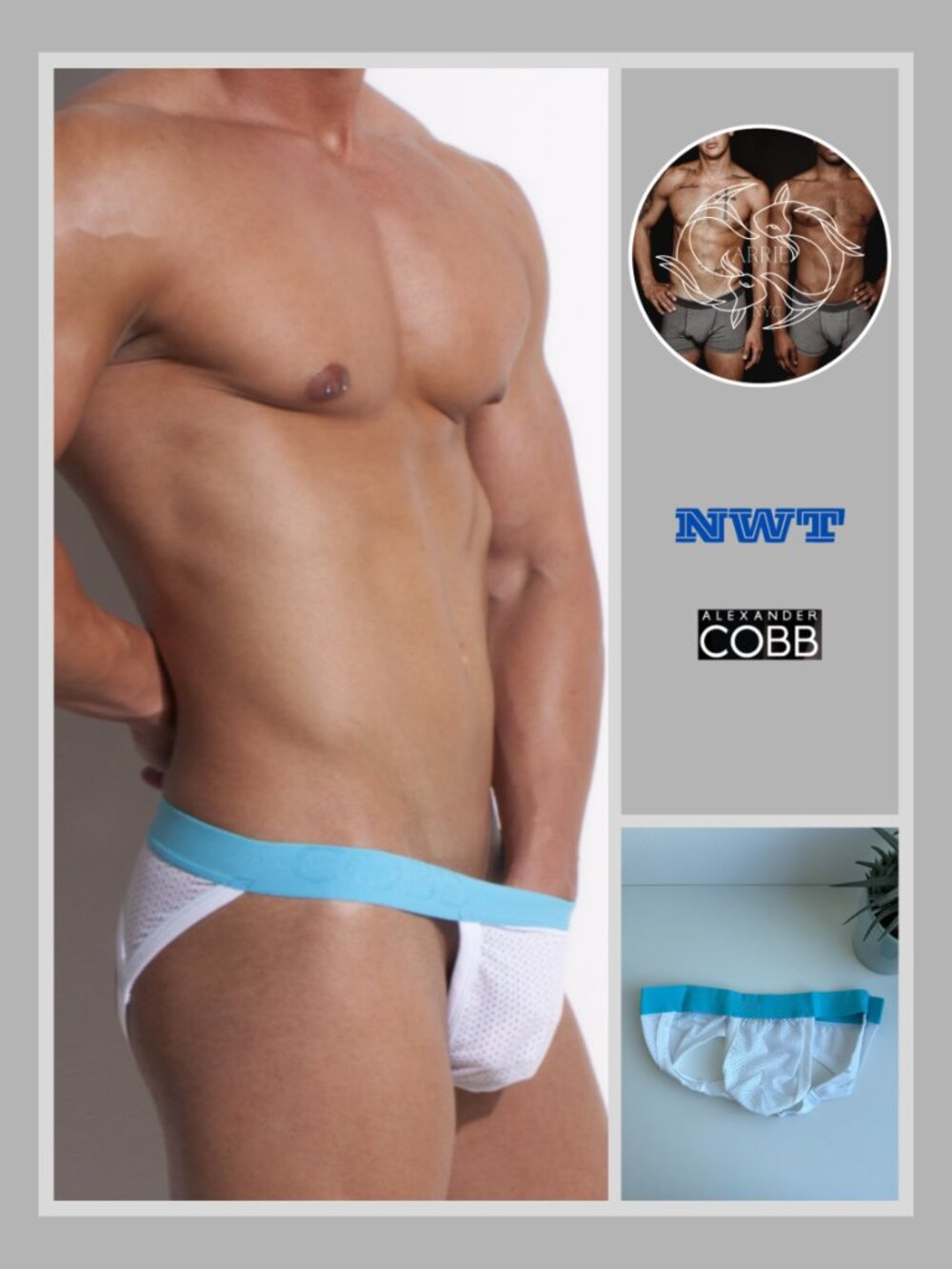 Alexander Cobb - Jockstrap White - Blue (M)
